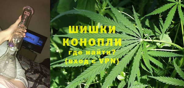 индика Новокубанск