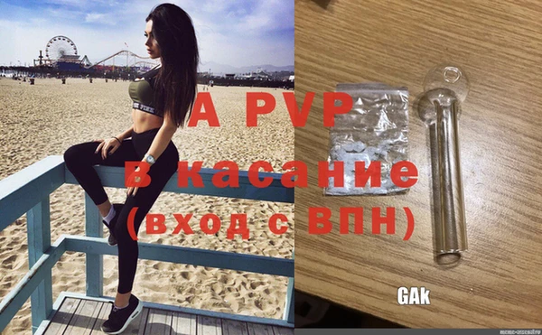 индика Новокубанск