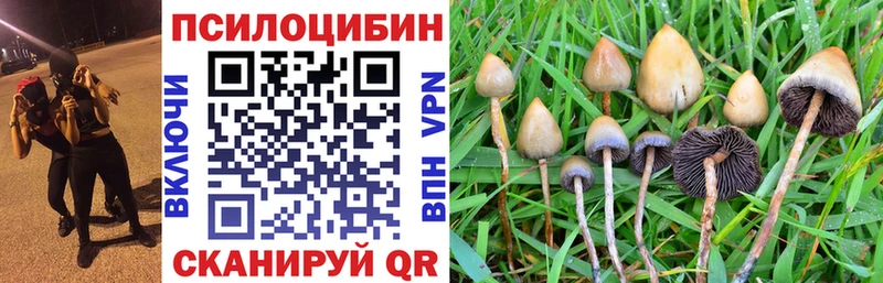 Галлюциногенные грибы Psilocybine cubensis хочу наркоту Нахабино